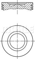 Поршнекомплект Fiat/Iveco F1AE0481 D/F/G/H d88.0 STD Mahle