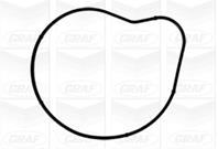 GRAF PA1040 Насос водяной BMW E60/65/53 4.4/4.8