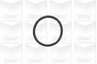 водяной насос