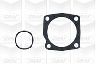 Водяной насос