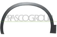 DS7101581_накладка крыла переднего! правая\ Nissan Qashqai (J10) 06-10