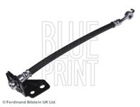 Шлангопровод