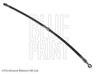 [ADC45361] BLUE PRINT ШЛАНГОПРОВОД