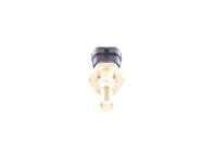 Fuel temperature sensor