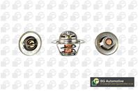 термостат Ford