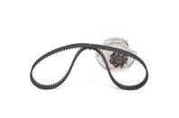 Комплект механизма ГРМ (ремень + водяной насос)