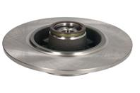 Brake disk with bearing