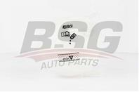 BSG 90-550-001_бачок расширительный! VW Golf Audi