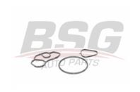 Уплотнения форсунок BSG
