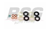 Уплотнения форсунок BSG