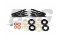 Уплотнения форсунок BSG