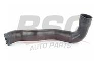 Шланги и патрубки BSG