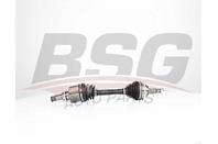 BSG