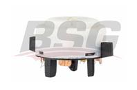 Контакты замка зажигания BSG