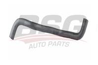 Шланги и патрубки BSG