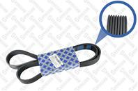 ремень·SCANIA 114/124 DSC11/01-02 DSC12/01-02-05