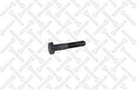 79-01139-SX_болт рычага подвески! VW Golf/Jetta all 84-92, Seat Toledo all 92-99