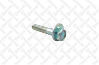 79-01106-SX_болт с эксцентриком!регулировочный\Nissan Primera/Tsuru/X-Trail/Qashqai/ Rogue 01>