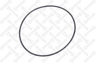 89-01048-SX_кольцо уплотнительное! (р) крышки ступицы SAF SK500 09.98--&gt