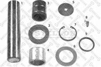 ремкомплект шкворня с подшип. MAN