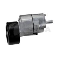 Натяжитель приводного ремня, Dф65MM, W31MM (2528125000) 29848