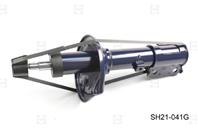 Амортизатор HOLA SH21-041G HYUNDAI Accent (LC)  Incl. Tagaz