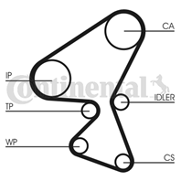 Ct1092wp1_рем.к-кт грм с помпой! citroen berlingo