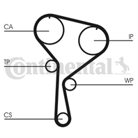 CT1035WP4_ремкомплект ГРМ! c помпой Renault Megan