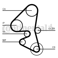 CT1163_ремень ГРМ! 139x254 Citroen C3  Ford Fiest