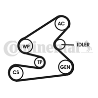 6 PK 1623 + ГасКрутКолеб. (Contitech) 6 PK 1623 + ГасКрутКолеб. (Contitech)