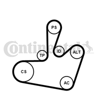 CT-6PK1548K1_ремкомплект НО! Seat Leon/Toledo  Sk