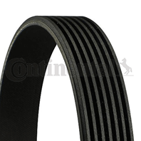 CONTITECH 7PK1666 Ремень п/к 7PK1666