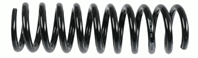 Пружина задняя
