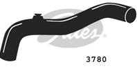 Accessory Drive Belt