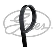 Ремень поликлиновый