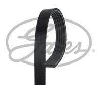 Ремень п клин.rena espace 3.0 96-98 laguna 96-01