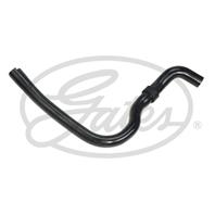 Accessory Drive Belt
