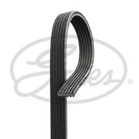 Ремень поликлиновый