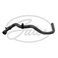 Radiator Coolant Hose