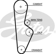 РЕМ.ЗУБЧ. 108-3/8-1029x24мм