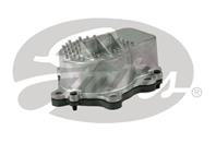 Engine Water Pump