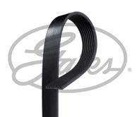 [8PK2440] Gates Ремень Gates 8PK2440