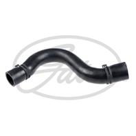 Radiator Coolant Hose