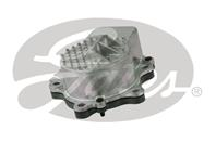 Engine Water Pump