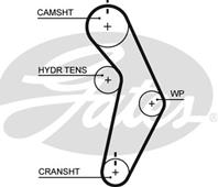 Engine Timing Belt