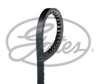 SPECIAL APPL BELT