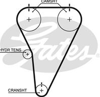 Engine Timing Belt