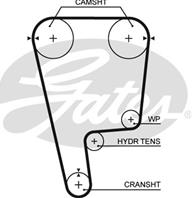Engine Timing Belt