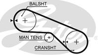 Engine Balance Shaft Belt
