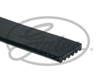 Ремень ручейковый GATES 6 PK 2000HD